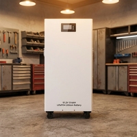 Système de stockage d'énergie domestique personnalisé avec batterie LiFePO4 de 5 kWh, batterie solaire verticale à poser au sol pour système solaire résidentiel