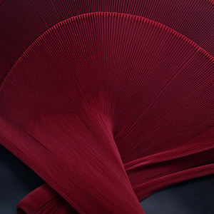 ผ้าตาข่ายจีบเล็กๆ แข็งแรง สำหรับฉากหลังเวที ผ้าตาข่ายสำหรับงาน DIY ตัดเย็บเสื้อผ้าแฟชั่น ผ้าสำหรับนักออกแบบ - Product Image 6