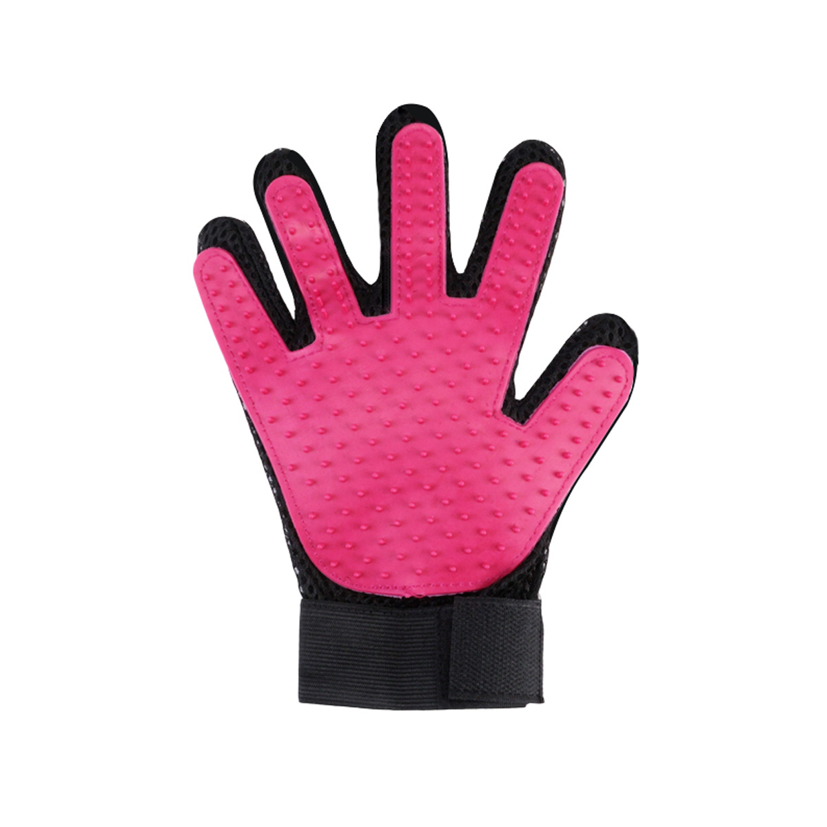 กุหลาบแดง