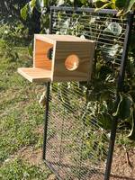 Nichoirs en bois pour hamsters transfrontaliers, mini cochons d'Inde, cochons d'Inde, nichoirs chauds pour animaux de compagnie, ratons laveurs, maisons en bois pour animaux, cages à oiseaux