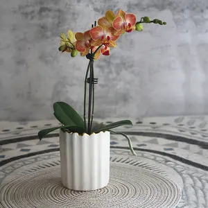 Современный керамический цветочный горшок, Садовые принадлежности, декоративный нордический глазурованный комнатный растительный горшок для суккулентов