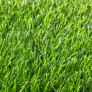 Tự Nhiên Màu Xanh Lá Cây Cảnh Quan Cỏ Nhân Tạo Cuộn 2M 4M Chiều Rộng Không Thấm Nước Cỏ Giả Cho Ngoài Trời Vườn Cảnh Quan Và Trang Trí Đám Cưới - Product Image 5