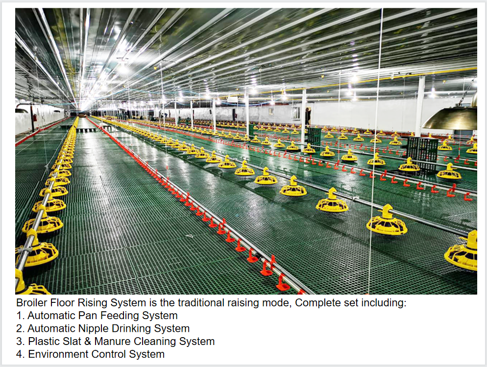 45-65 broiler Chicken Breeding Equipment HX Chicken Feed System