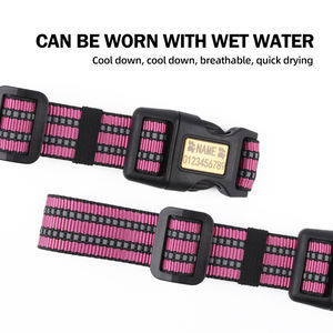 Collar <span class=keywords><strong>de</strong></span> Silicona Personalizado con Letras para Perro, con Opciones <span class=keywords><strong>de</strong></span> Alfabeto - Product Image 5