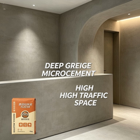 Micro-ciment VALIDEA, deux composants, revêtement mural décoratif écologique, peinture à base de ciment, intérieur/extérieur, imperméable, faible teneur en COV