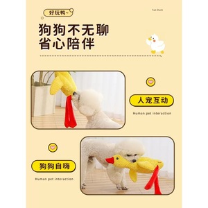 <b>Plush</b> dog toys, fun toys for puppies, make noises, chew toys, durable toys for Corgis, Teddy Bears, Bichon Frises, and other - Product Image 4