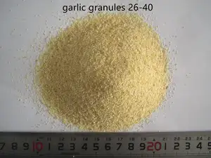 High Quality Fresh Garlic Dehydrated Dried Garlic Granules 40-80 Mesh