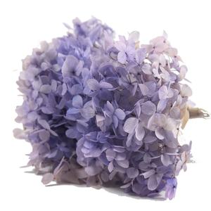 Vente en gros de fleurs et de plantes conservées à grands pétales real touch <span class=keywords><strong>anna</strong></span> hortensia à grandes feuilles - Product Image 4