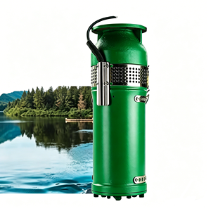 Bomba Centrífuga de Hierro Fundido para Extracción de Agua de Río <span class=keywords><strong>QSP</strong></span> 380V Trifásica 25m³/h 12m, Alta Eficiencia, Ahorro de Energía, 50mm DN - Product Image 1