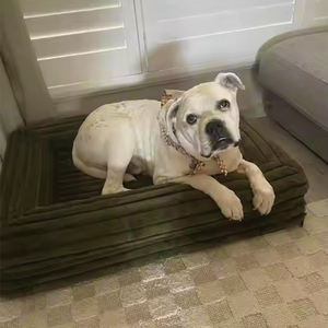 Поролоновая кровать для домашних животных, прочная Съемная кровать для домашних животных, Роскошная большая моющаяся ортопедическая кровать для собак с противоскользящим дном - Product Image 6