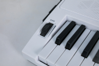 Suministro Directo de Fábrica, Órgano Eléctrico Personalizado BD-669D de 61 Teclas, Teclado de Piano Electrónico, Teclas con Iluminación y Función Sustain, Portátil, Incorporado
