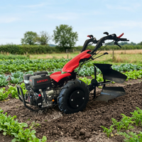 Motoculteur rotatif à moteur certifié CE BCS pour agriculteurs