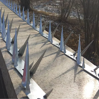 Clôture de sécurité anti - escalade en acier galvanisé avec pointes de mur de rasoir fer épines Home Safety