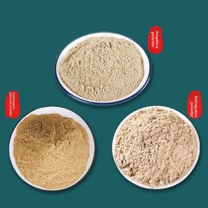 Vendita all'ingrosso di 500g di erbe medicinali cinesi in polvere, inclusi Codonopsis pilosula, Astragalus membranaceus e Angelica sinensis. - Product Image 3