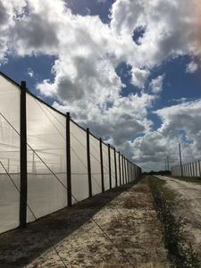 Red agrícola multispan HDPE 40 50 para invernadero, malla antiinsectos, para cultivo <span class=keywords><strong>de</strong></span> verduras y frutas, bajo coste - Product Image 2