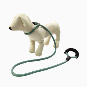 पर्यावरण के अनुकूल नायलॉन कुत्ते पट्टा कॉलर सेट करें फैशन प्रिंट और पालतू पिल्ला के लिए व्यक्तिगत रिबन के साथ एक रस्सी डिजाइन - Product Image 2