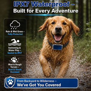 OEM Low Cost IP67 Waterproof <strong>GPS</strong> Dog Tracking Device <strong>Cats</strong> Small Animals APP Real Time Geo-fence Alert Anti-theft <strong>GPS</strong> <strong>tracker</strong> - Product Image 5