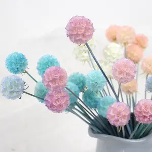 C264 Ins Wind Real Pinwheel Trang Trí Hoa Sao Bunches Bảo Quản Cối Xay Gió Khô Hoa Trái Cây Để Trang Trí Nhà