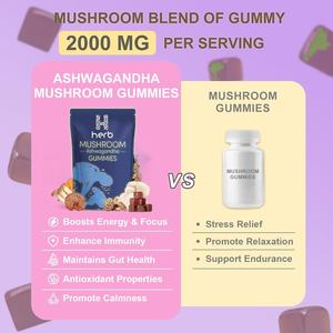 Complément alimentaire biologique en capsules d'extrait de champignon complexe Lion's Mane et Reishi, marque privée OEM/ODM, gommes aux champignons - Product Image 4