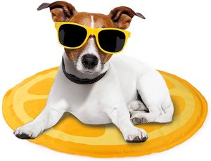 Alfombrilla Refrigerante de Gel Sólido para Perros, Transpirable y Resistente a los Arañazos, para Exteriores, Verano, Refrigeración con Hielo, Alfombrillas para Mascotas - Product Image 4