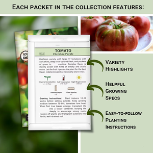 Sachet <span class=keywords><strong>de</strong></span> graines <span class=keywords><strong>de</strong></span> <span class=keywords><strong>tomates</strong></span> classiques non-OGM pour potager domestique, incluant la variété Cherokee Purple pour culture au sol - Product Image 5