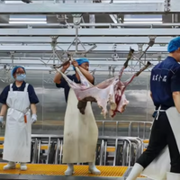 Ligne d'abattage clé en main pour moutons et chèvres, équipement moderne d'abattoir pour la transformation de la viande