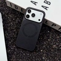 Étui de téléphone magnétique avec motif Lychee pour iPhone 18Pro 17, 16, 15, 14, 13, 12, 11Pro Plus, étui de téléphone anti-chute