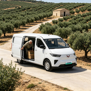 Furgone Elettrico Commerciale Wuling Yangguang EV 2026 per Consegne e Logistica, a Basso Consumo Energetico, Prodotto in Cina - Product Image 1