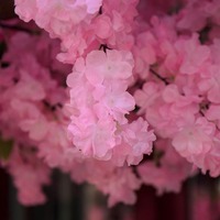 Maßgefertigter Seiden-Kunstblüten-Kirschbaum Künstliche Gartendekoration für Party Event Hochzeit Abschlussfeier Innen- und Außenbereich Langlebig