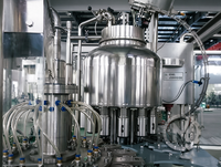 Usine de remplissage et de bouchage automatique clé en main 3-en-1 pour jus de fruits concentrés et boissons en PET pour petites entreprises