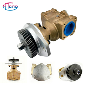 Pompa Acqua Marina JMP JPR-S7630 Sostitutiva per Sherwood P1730 P1731 Cumins 3866493 3897691 3964765 4003526 5265994 5265995 5265996 - Product Image 1