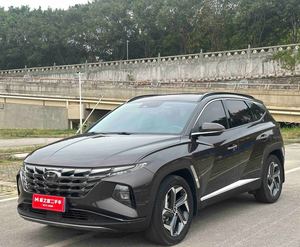 <span class=keywords><strong>Tucson</strong></span> <span class=keywords><strong>Gris</strong></span>, SUV Automático Usado, Diésel Turbo Resistente, 5 Puertas, Volante a la Izquierda, Luces LED para Desplazamientos Urbanos - Product Image 1