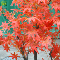 Arbre d'érable artificiel rouge populaire en promotion, arbre d'érable japonais en plastique pour décoration extérieure ou intérieure