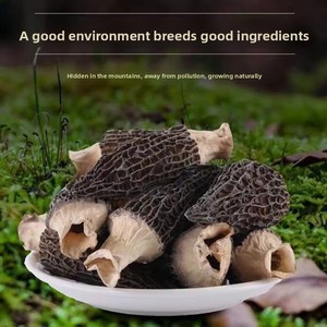 Hongos Morchella Esculenta Silvestres Secos de Yunnan, Grado A, a Granel, Enteros o en Rodajas, Premium, para Restaurantes Gourmet, OEM - Product Image 4