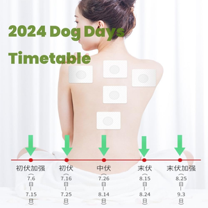 Patch de thérapie détoxifiante aux herbes Sanfu QiAi prix d'usine soulagement de la douleur maladies hivernales en été traiter les produits chinois - Product Image 6