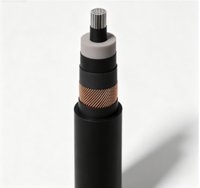 Câble Monoconducteur Industriel 12/20 (24) KV NA2XS (F) 2Y en Aluminium avec Isolation XLPE et Gaine MDPE pour Distribution Électrique