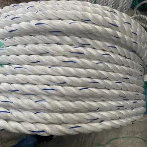 High Strength Low Price Wholesale 3Strands Twisted PP Nylon Plastic Packing Danline Rope Twisted PP Ropes China