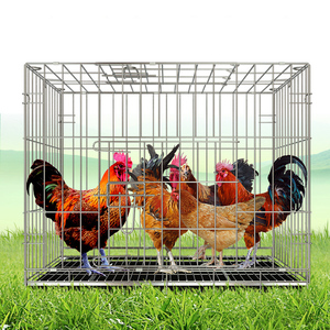 Jaula Plegable para <span class=keywords><strong>Gallinas</strong></span> Ponedoras, Gallinero Plegable Pequeño, Jaula Plegable para Cría de Aves de Corral, Jaula Plegable para <span class=keywords><strong>Gallinas</strong></span> Ponedoras Usada - Product Image 6