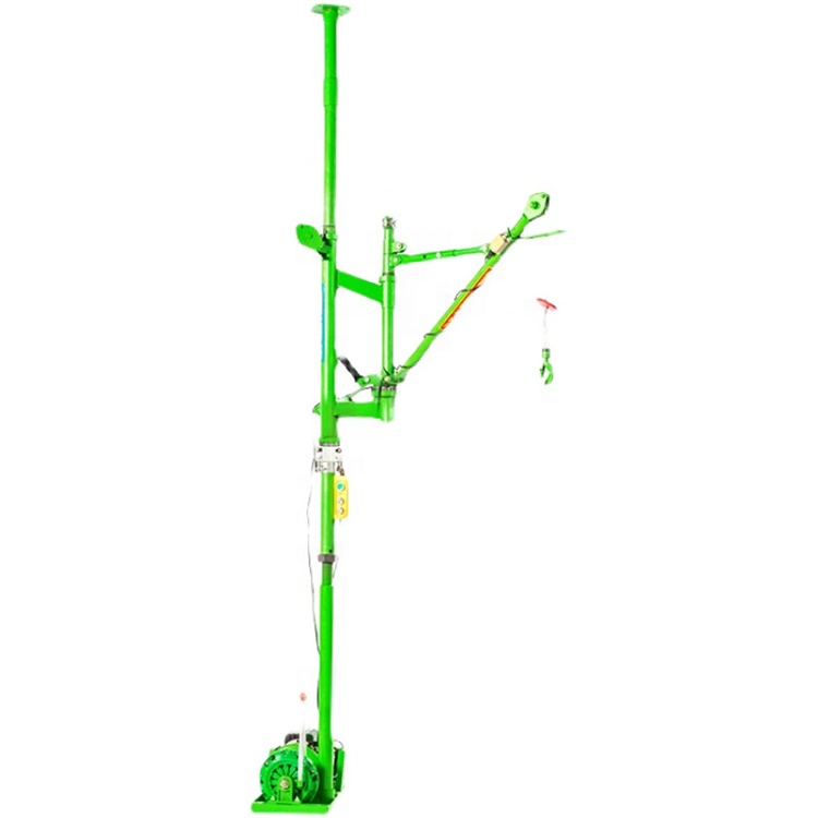 Grue électrique portable d'intérieur pliable, pour petite taille, 220V