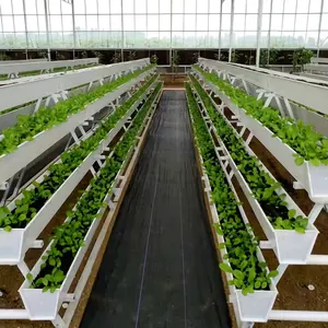 China Standard Gewächshaus Hydro ponik Ausrüstung Erdbeer rinne Hydro po nische Dachrinne für das Pflanzen von Erdbeeren und Tomaten