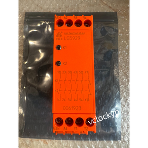 Module d'extension Dold LG5929.60/100/61 24VAC/DC 0061923 Utilisé - Product Image 1