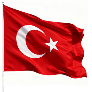 بيع بالجملة: * 90 علم مصري ، أعلام مخصصة من مختلف البلدان ، أعلام ترويجية للشركة ، أعلام حدث رياضي - Product Image 6