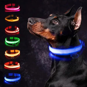 LED 빛나는 개 목걸이 조정 가능한 깜박임 충전 발광 칼라 야간 분실 방지 개 라이트 하네스 소형 개 애완 동물 제품 - Product Image 1