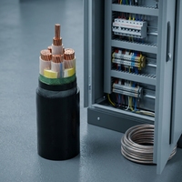 Cable de Alimentación de Cobre Impermeable YJV XLPE PVC 0.6/1kV para Equipos Eléctricos de Cubierta de Barcos Pesqueros Oceánicos