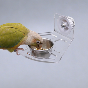 <span class=keywords><strong>2025</strong></span> Yeni Stil Evcil Hayvan Malzemeleri Akrilik Şeffaf Paslanmaz Çelik Papağan Yemliği Papağanlar ve Evcil Kuşlar için - Product Image 2