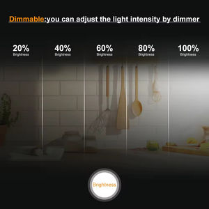 Cob Led Strip Dimmable Bright WIFI 12 Volt 5m Flexible 4000K Cold White for <b>Tv</b> Backlight Smart 12v Cob Led Strip Light - Product Image 6