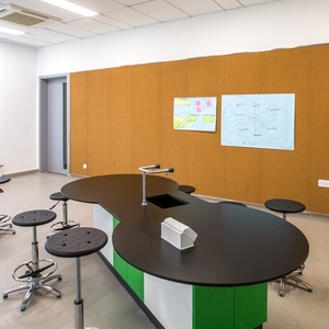 Muebles de Laboratorio Escolares de Acero de Alta Calidad Personalizados para Laboratorio Universitario, Equipo de Laboratorio de Biología - Product Image 5