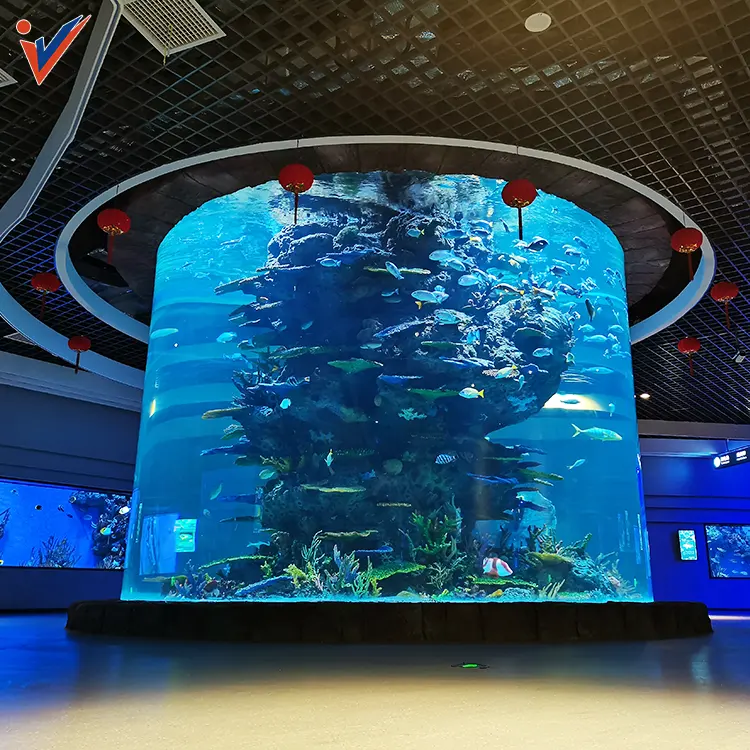 Grande serbatoio di pesce cilindrico personalizzato su misura per Hotel, ristorante