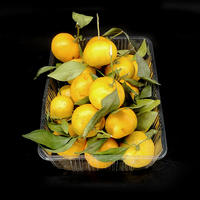 Barquette d'emballage alimentaire jetable en plastique PET pour cerises et raisins, idéale pour les supermarchés et la vente de fruits