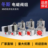 TENIU MB-DLE Ang MV-DLE 207/5 Ensemble de brûleurs à gaz avec valve, en remplacement des valves Dungs, pour pièces de rechange de brûleur